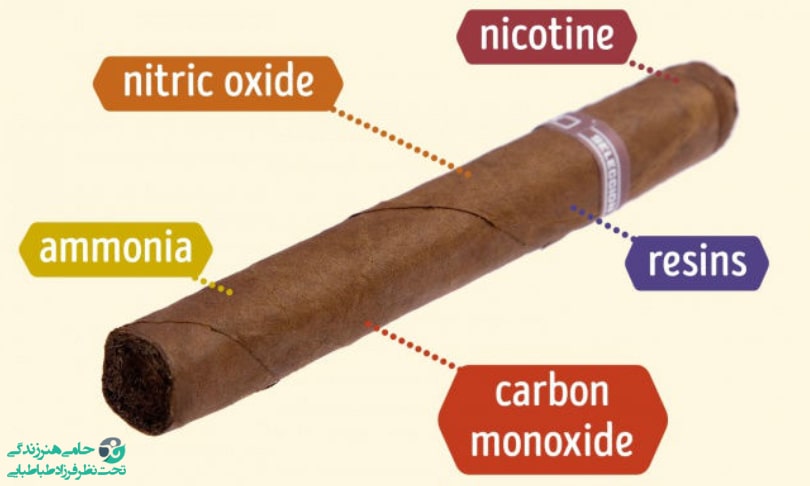 بخش های مختلف سیگار برگ